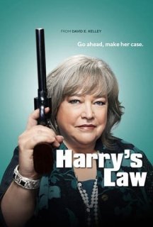 Закон Геррі / Закон Херрі 1 сезон постер